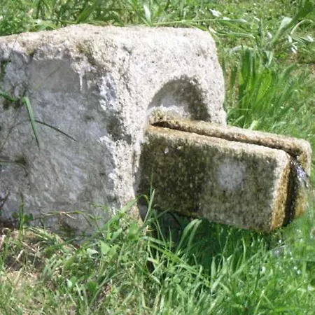 Alvarella Villarmayor (Galicia)