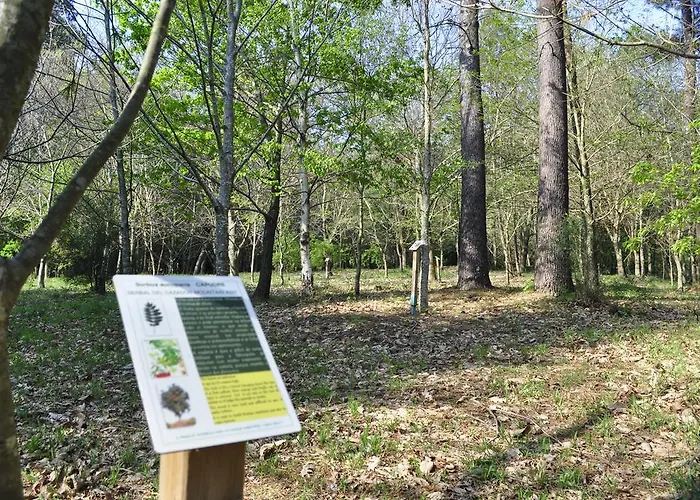 Alvarella Villarmayor (Galicia)